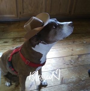 Meet your Posher, Wyarnette